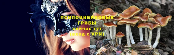 PSILOCYBIN Инта