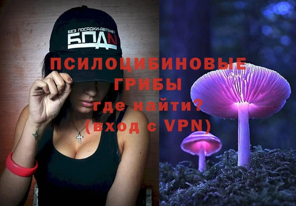 стаф Алексеевка