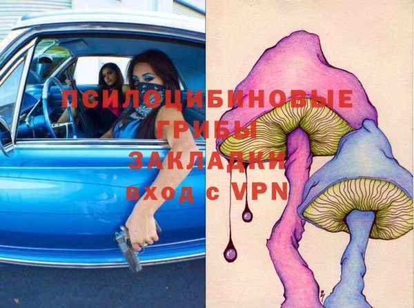 PSILOCYBIN Арсеньев