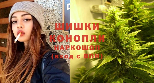 PSILOCYBIN Арсеньев