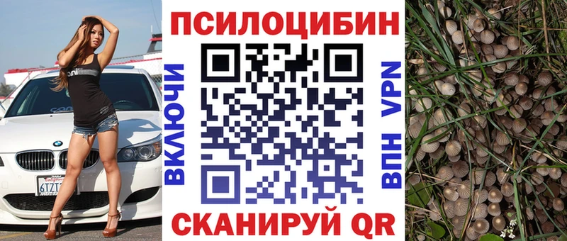 купить закладку Вышний Волочёк Галлюциногенные грибы Psilocybine cubensis